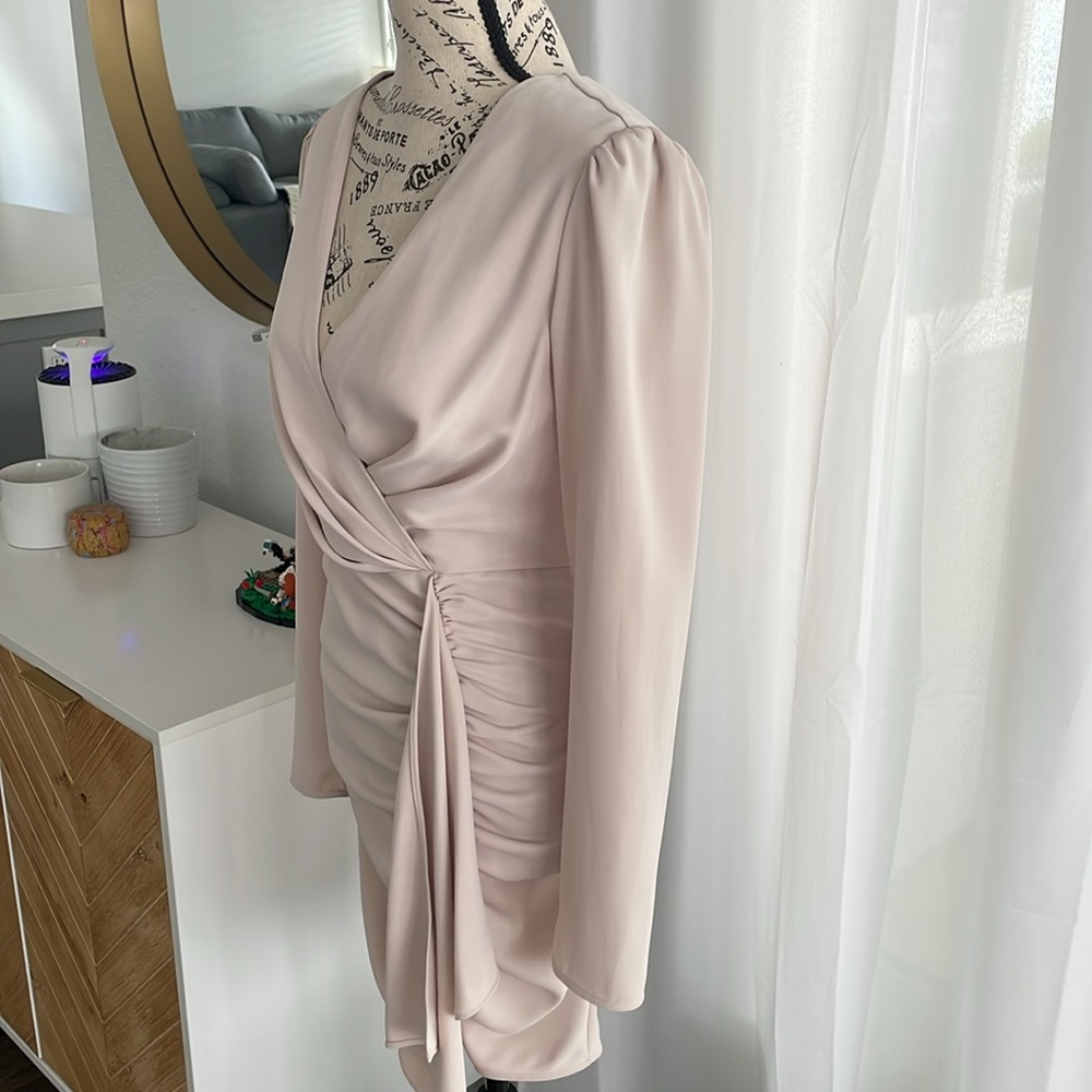 Babaton Encore Ruched Dress - Picture 3 of 10